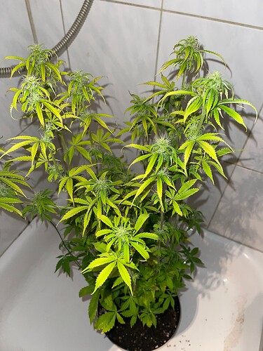 Growreport Bild 8