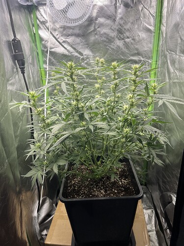 Growreport Bild 14