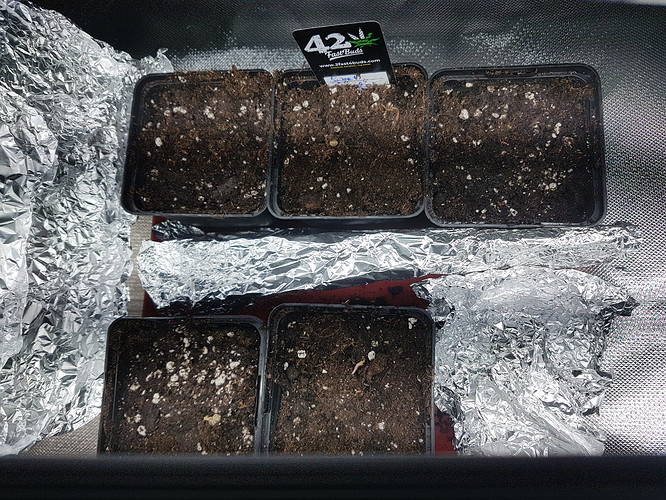 Growreport Bild 7