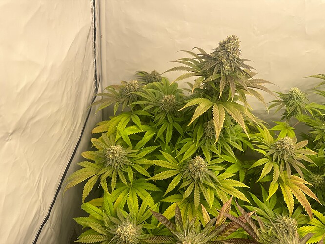 Growreport Bild 10