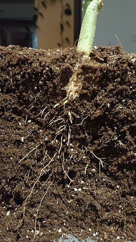 Growreport Bild 11