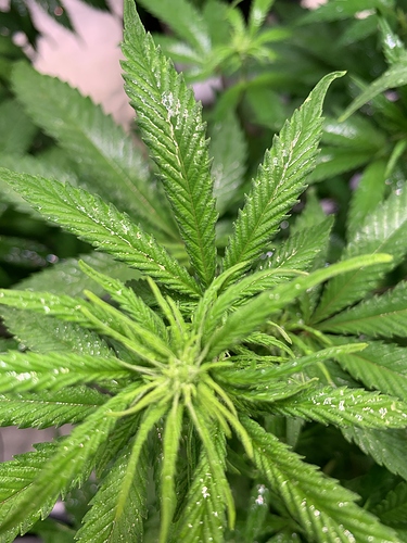Growreport Bild 12
