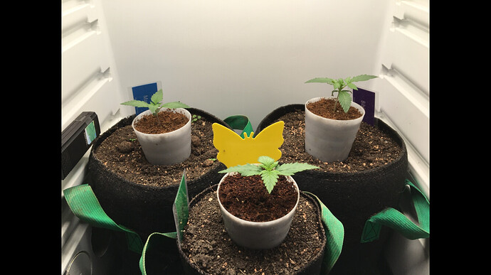 Growreport Bild 20