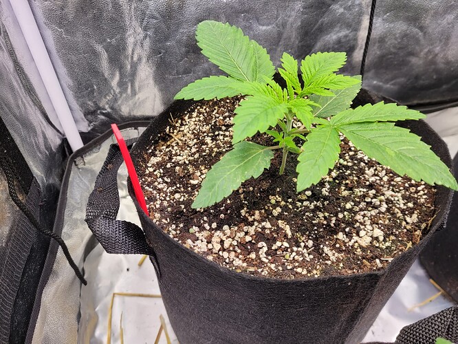 Growreport Bild 7