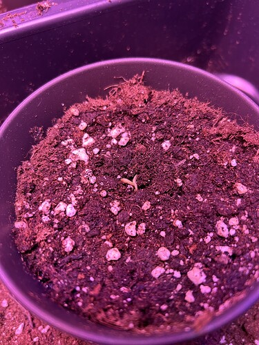 Growreport Bild 10
