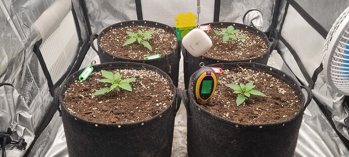 Growreport Bild 22