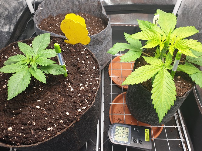 Growreport Bild 7