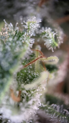 PXL_20221020_180423438