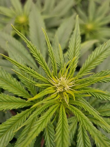Growreport Bild 22