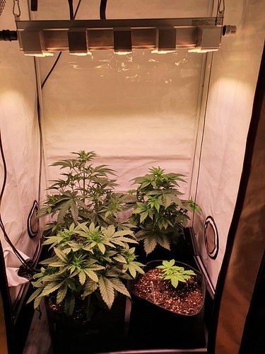 Growreport Bild 14