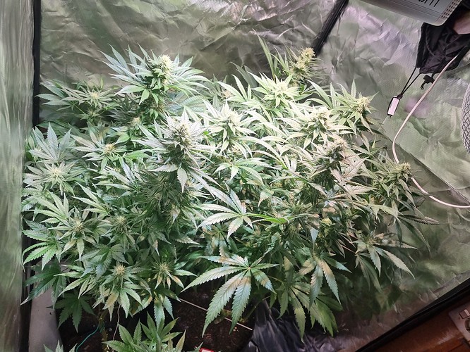 Growreport Bild 11