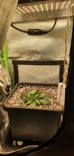 Growreport Bild 10