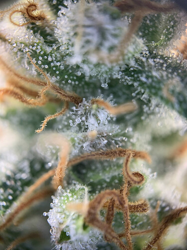 Growreport Bild 14