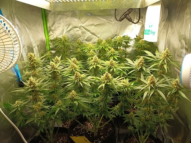 Growreport Bild 11
