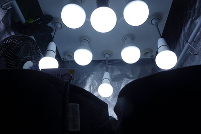 Ein Growzelt mit mehreren LED-Lampen und einem Ventilator.