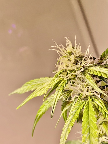 Growreport Bild 2