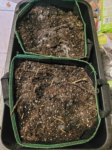 Growreport Bild 2