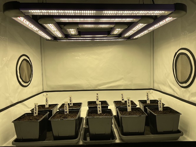 Growreport Bild 10