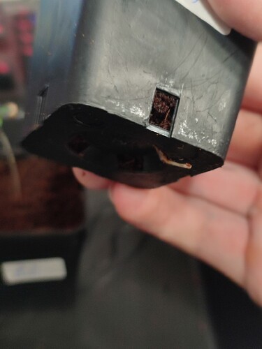 Growreport Bild 12