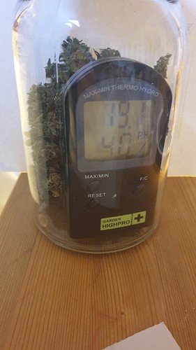 Growreport Bild 3