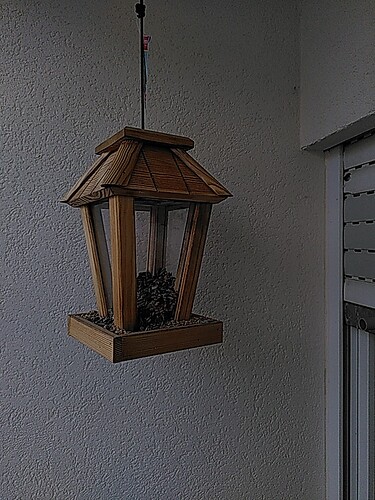 Growreport Bild 7