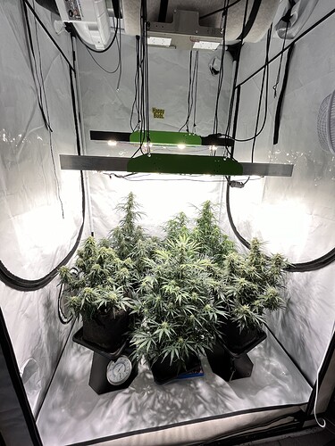 Growreport Bild 14