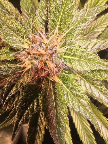 Growreport Bild 10