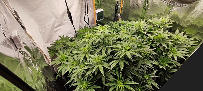 Growreport Bild 10