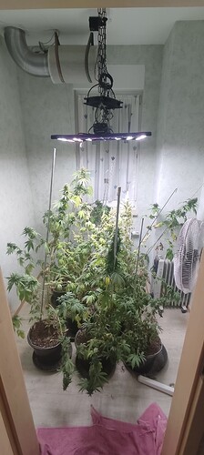 Growreport Bild 1