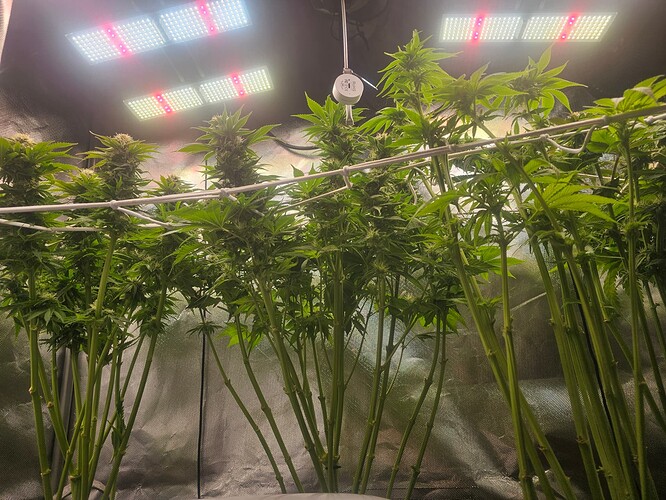 Growreport Bild 12
