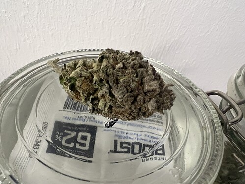Growreport Bild 3