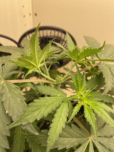 Growreport Bild 12