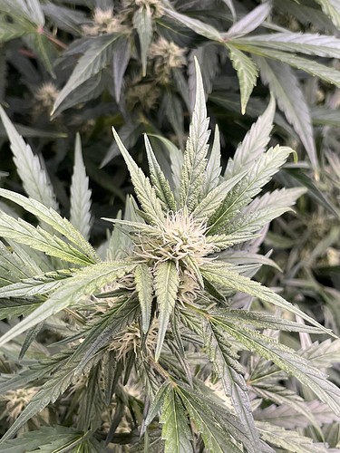 20211108_181654221_iOS