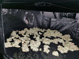 Growreport Bild 4