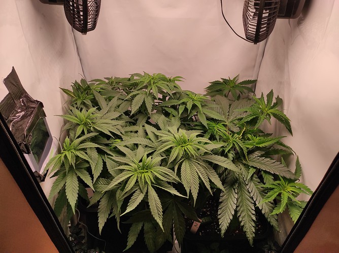Growreport Bild 10