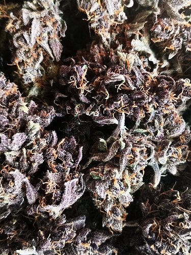 Growreport Bild 21