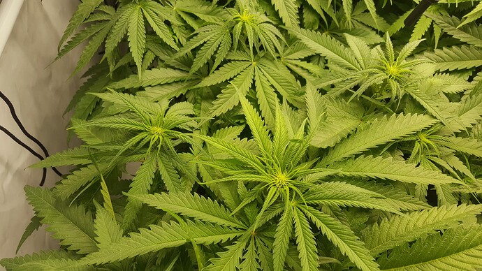 Growreport Bild 12