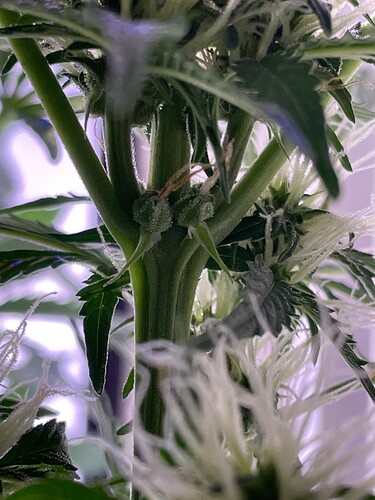 Growreport Bild 9