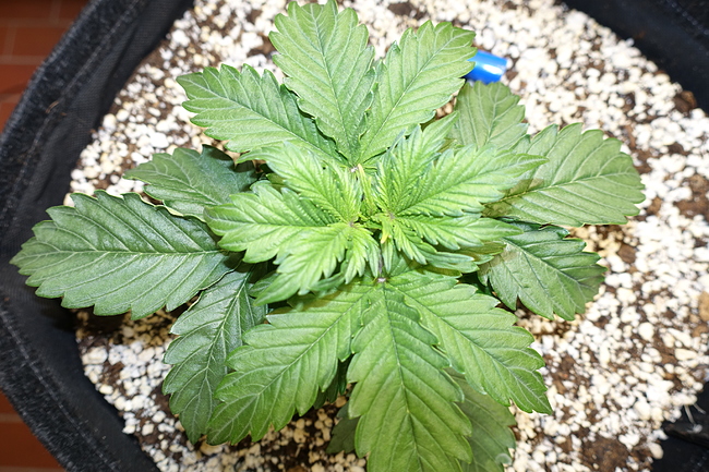 Growreport Bild 10