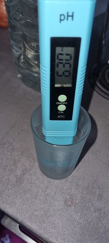Growreport Bild 31