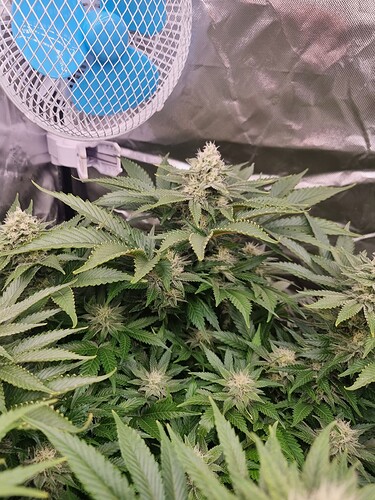 Growreport Bild 25