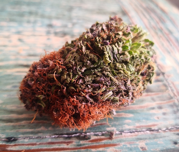 Growreport Bild 10