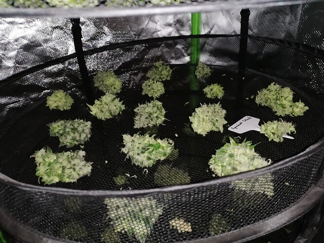 Growreport Bild 20