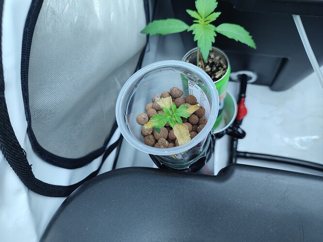Growreport Bild 48