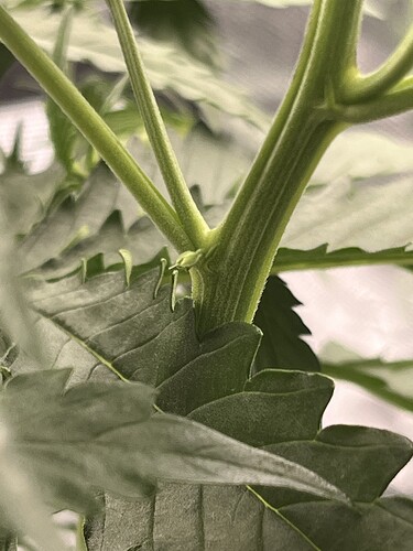 Growreport Bild 18