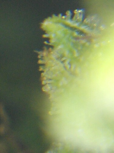 Growreport Bild 17
