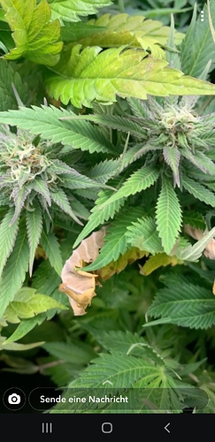 Screenshot_20200607-145703_Snapchat