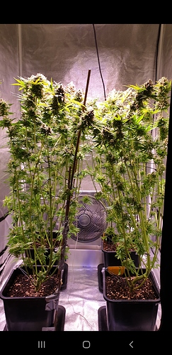 Growreport Bild 11