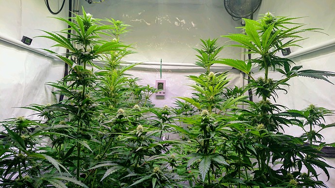 Growreport Bild 8
