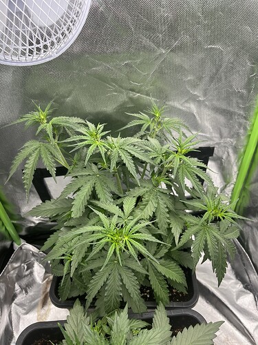 Growreport Bild 21